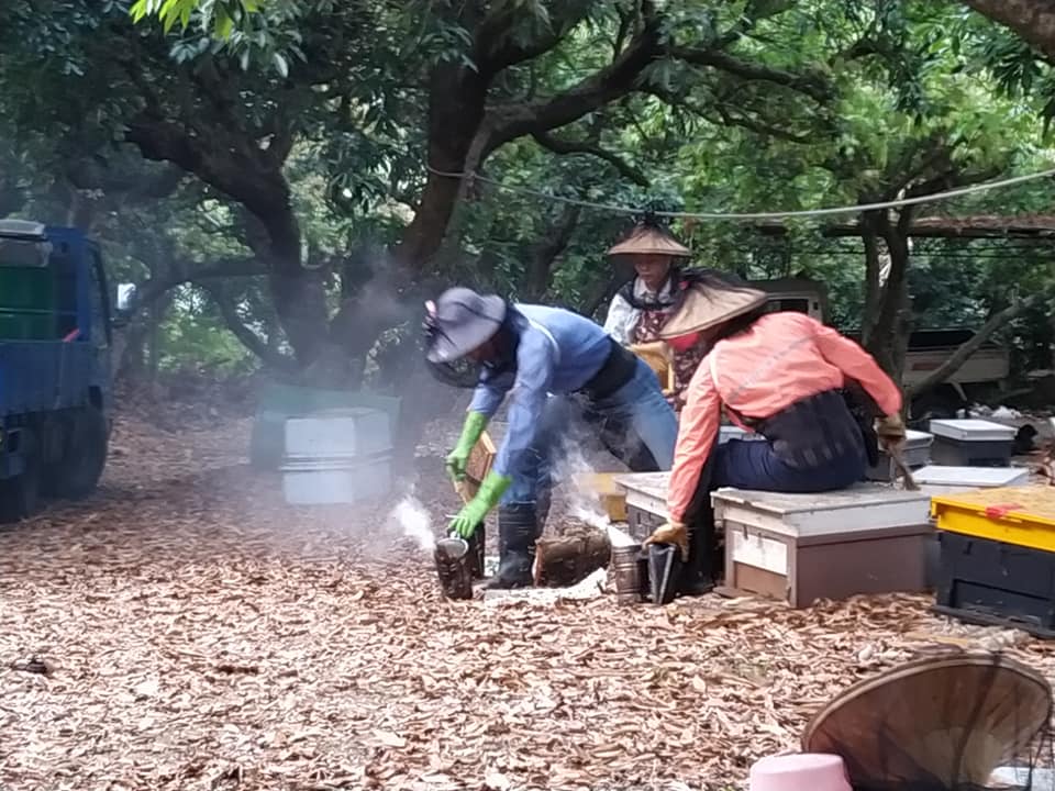 李家蜂蜜｜揭開蜜蜂的面紗，雲林縣崙背鄉養蜂產銷班第1班