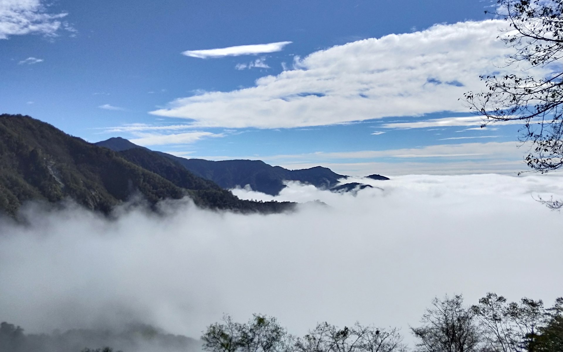 北極熊台東包車旅遊