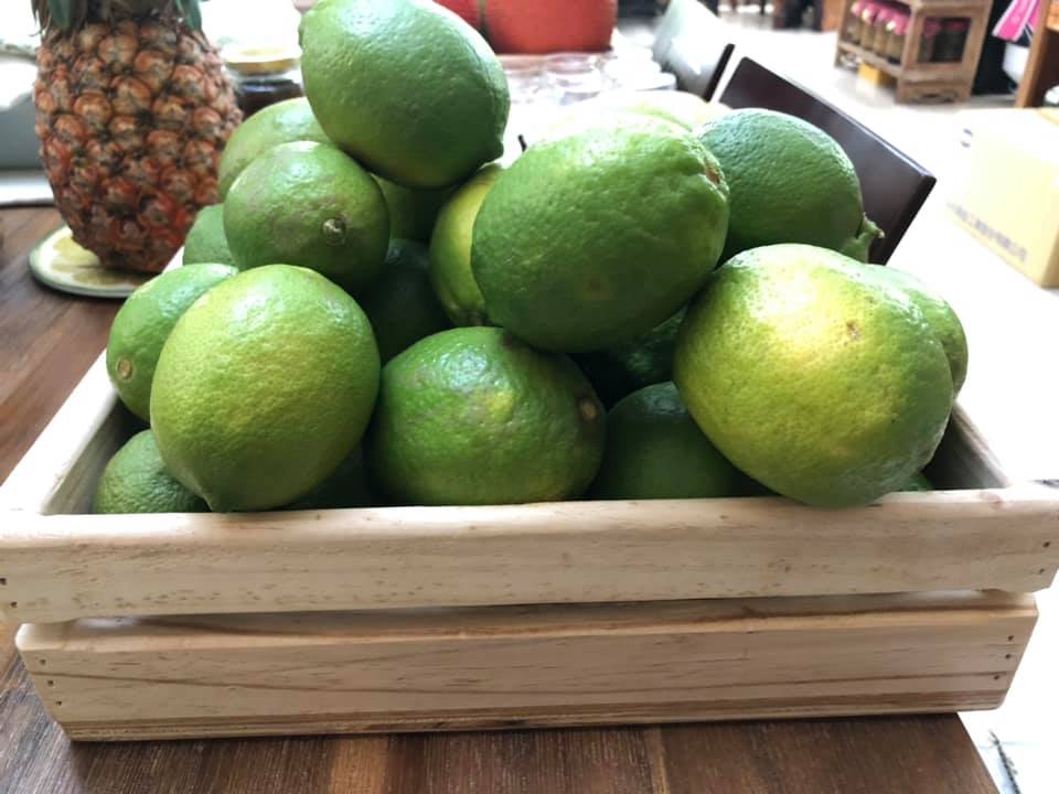 惠吃醋手作工坊｜老爸牌無農藥檸檬